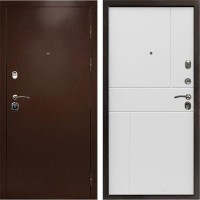 Входная дверь Техно медь Горизонт белый